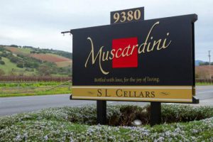 muscardini-cellars-tasting